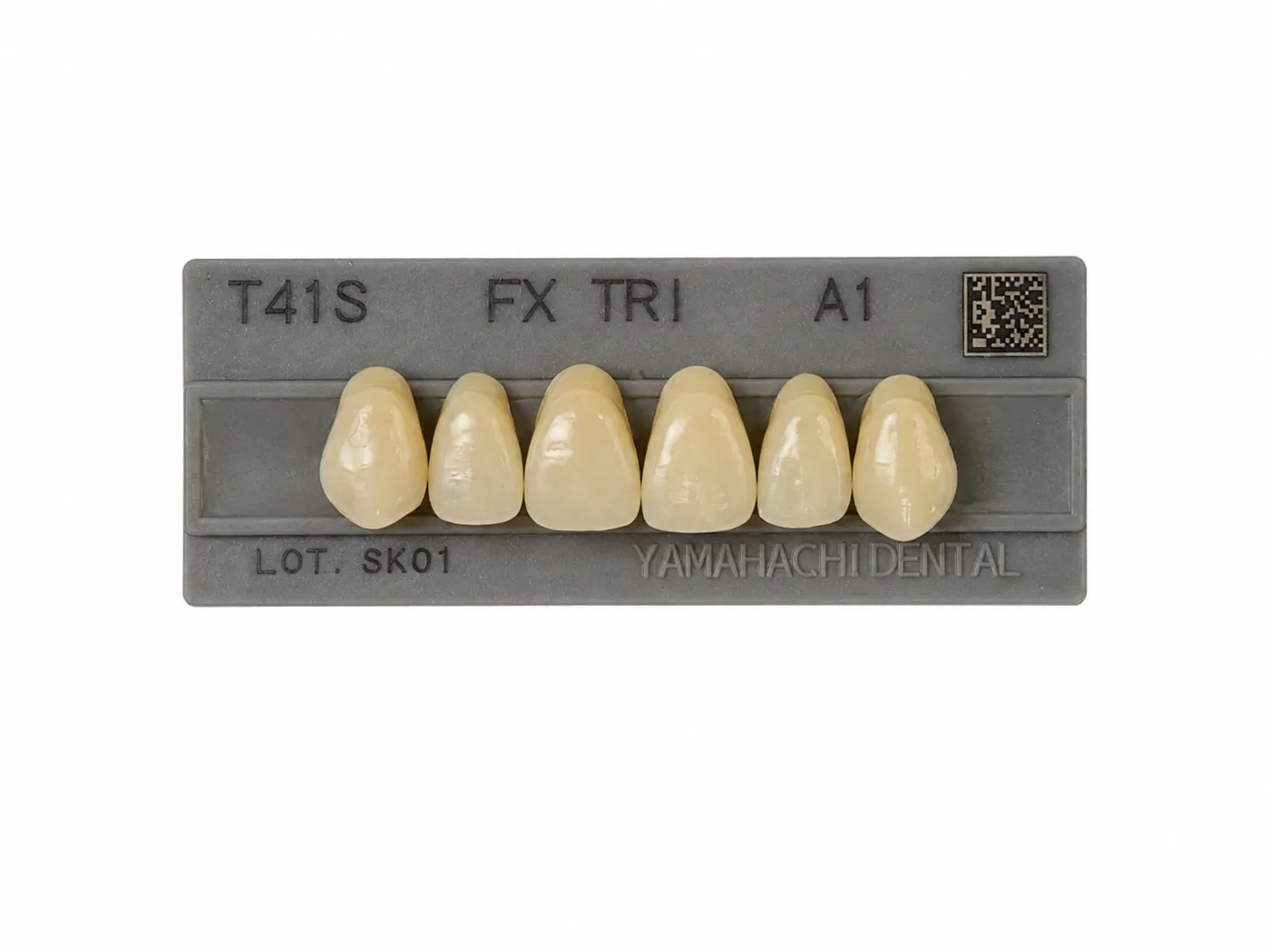 Dente Yamahachi FX TRI — Anterior Superior T41S