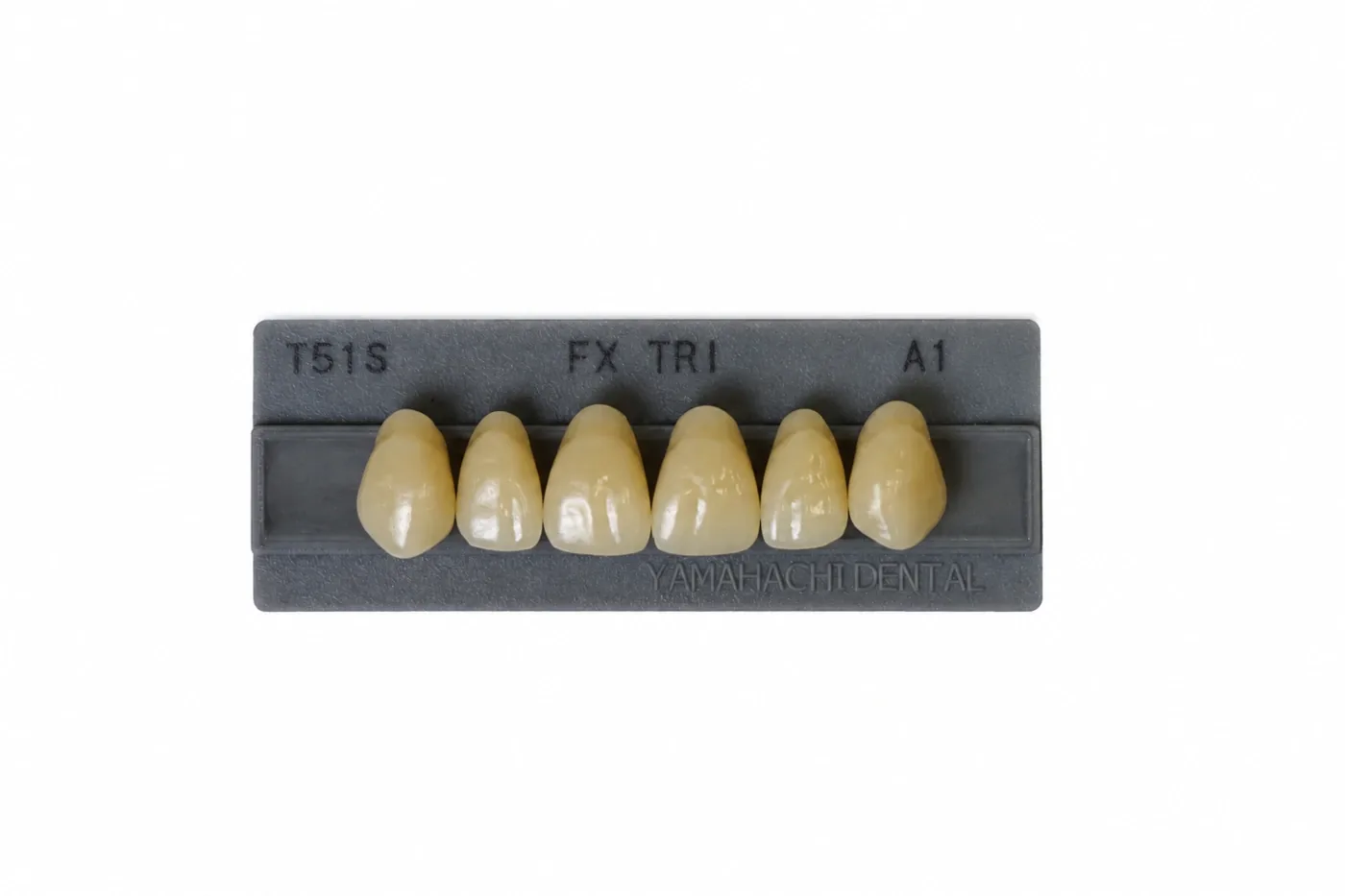 Dente Yamahachi FX TRI — Anterior Superior T51S