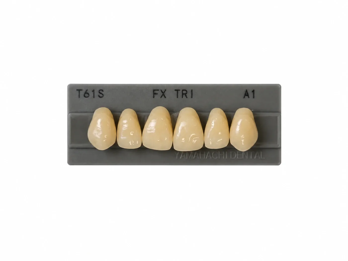 Dente Yamahachi FX TRI — Anterior Superior T61S