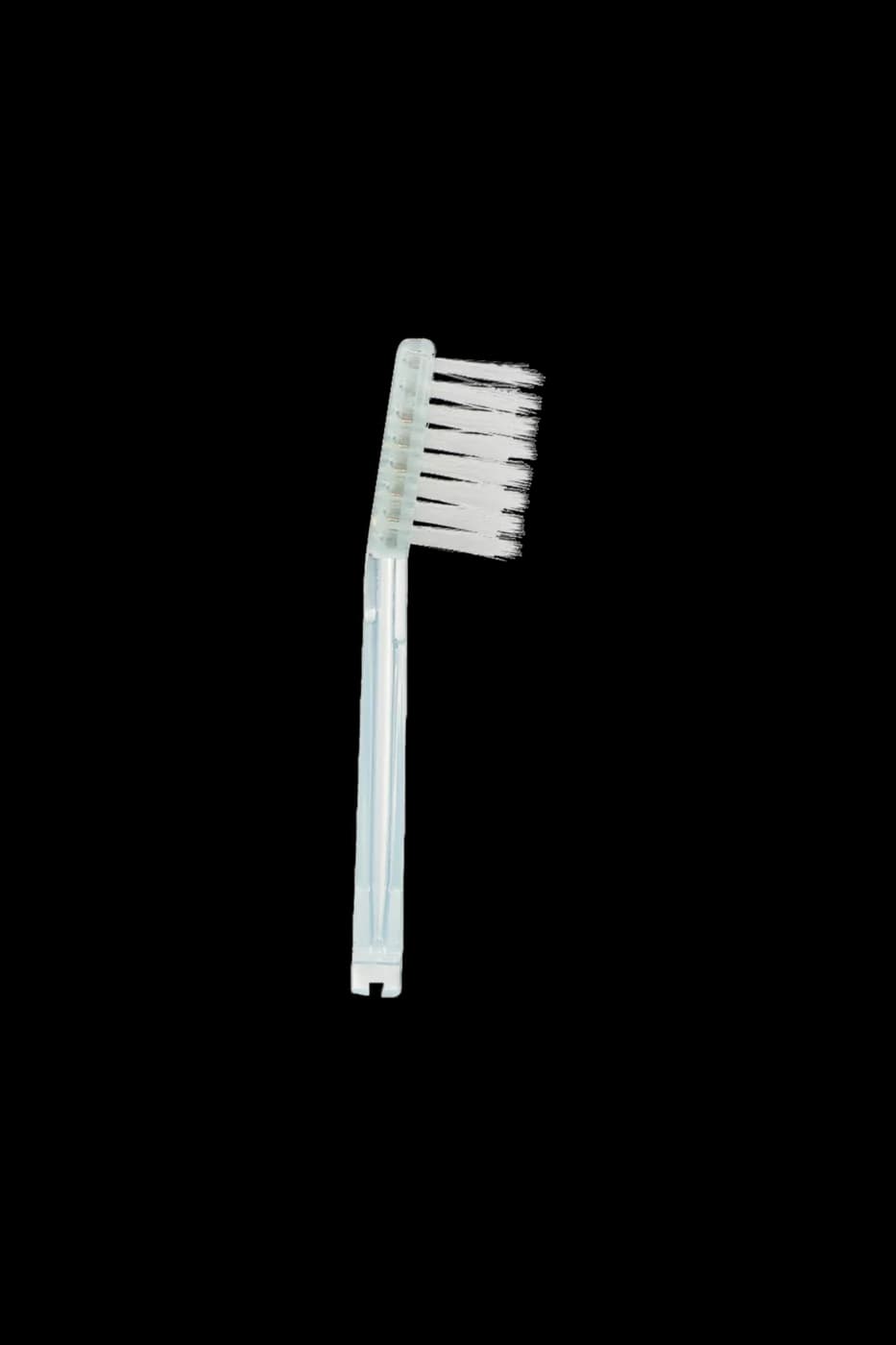 Refil Escova IONIC PRO — Adulto