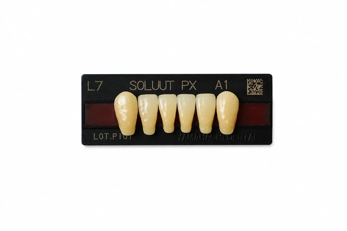 Dente Yamahachi Soluut — Anterior Inferior L7