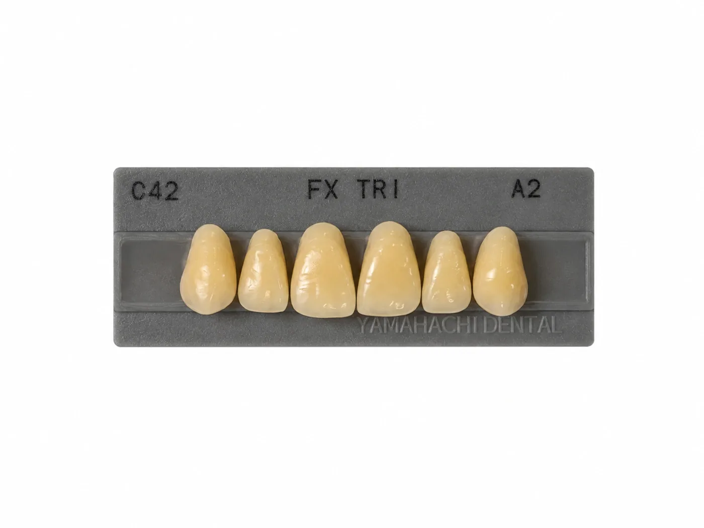 Dente Yamahachi FX TRI — Anterior Superior C42