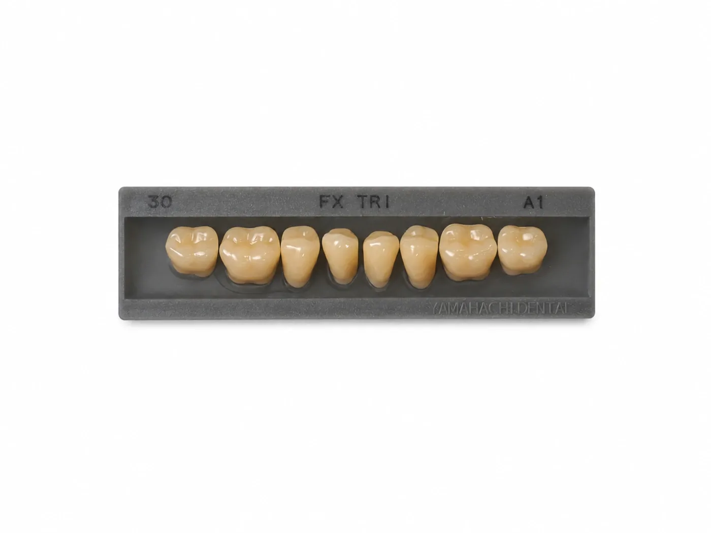 Dente Yamahachi FX TRI — Posterior Inferior M30L