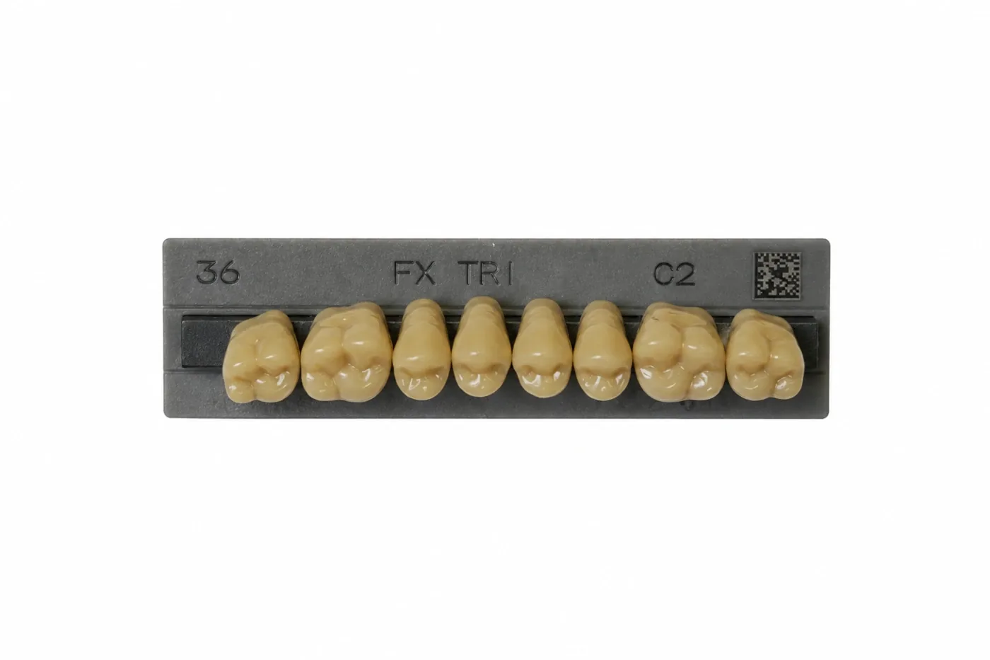 Dente Yamahachi FX TRI — Posterior Superior M36U